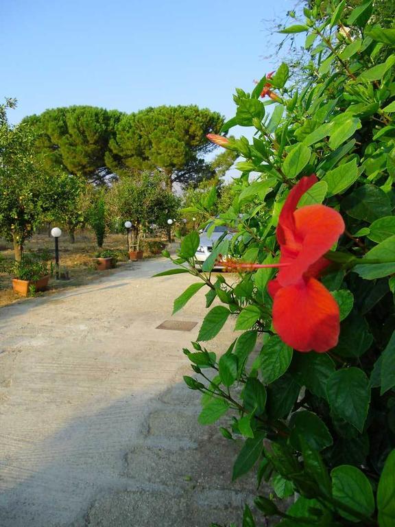 "Green" B&B Il Bracco Partinico Buitenkant foto
