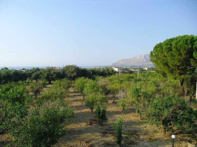 "Green" B&B Il Bracco Partinico Buitenkant foto