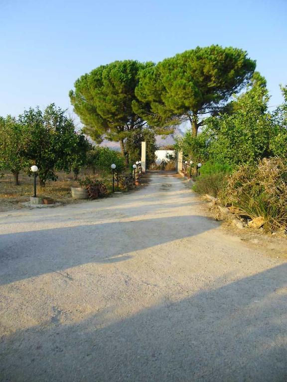 "Green" B&B Il Bracco Partinico Buitenkant foto